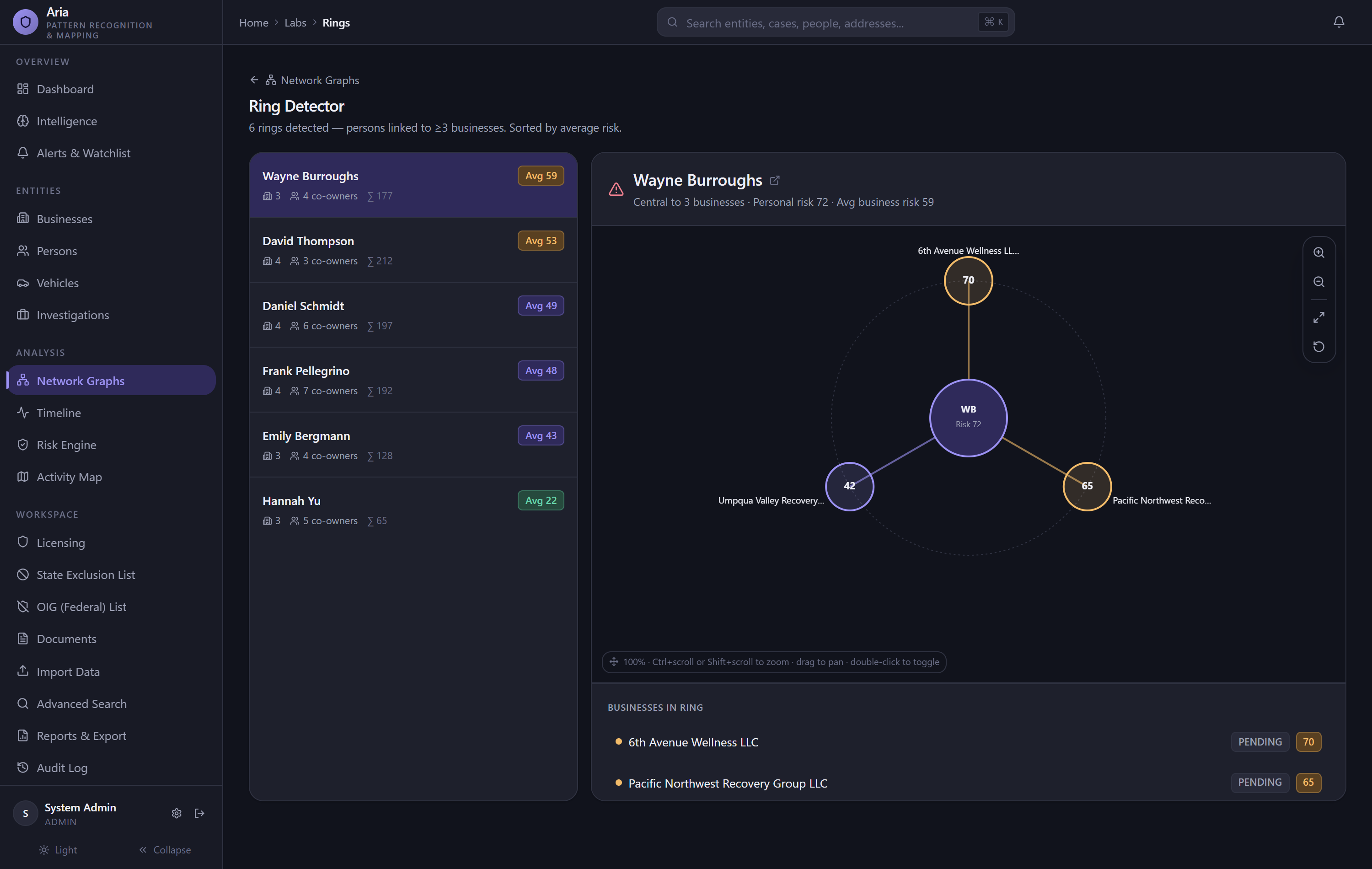 Ledger Trace ring detector identifying coordinated ownership clusters
